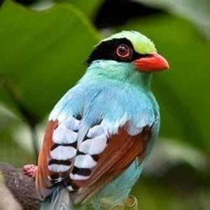 Meet your Posher, Joan